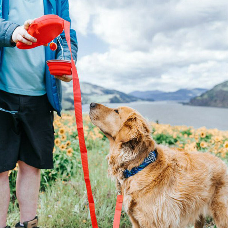 4-in-1-Rollleine für Hunde