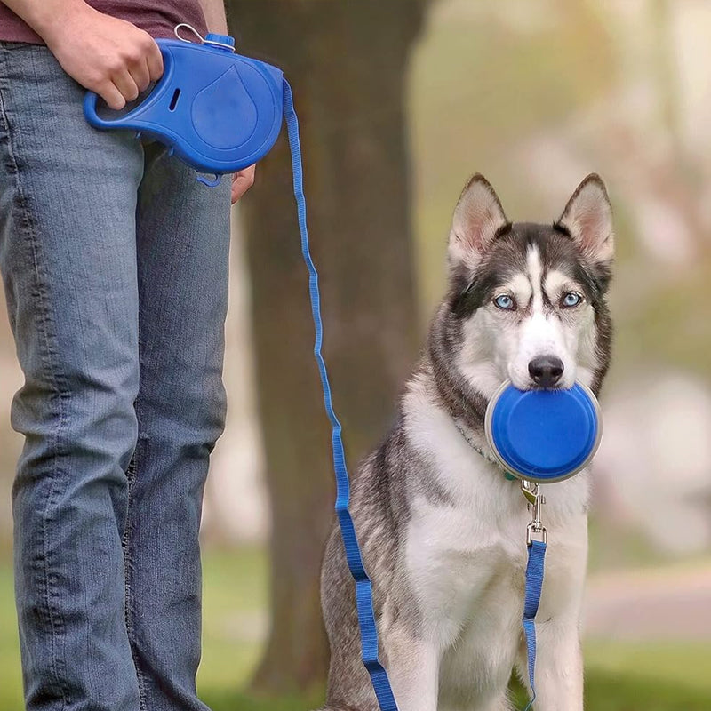 4-in-1-Rollleine für Hunde