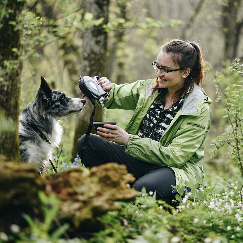 4-in-1-Rollleine für Hunde