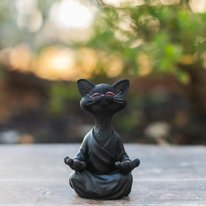 Buddha Katze